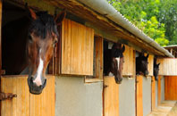 free Bryn Y Cochin stable construction quotes
